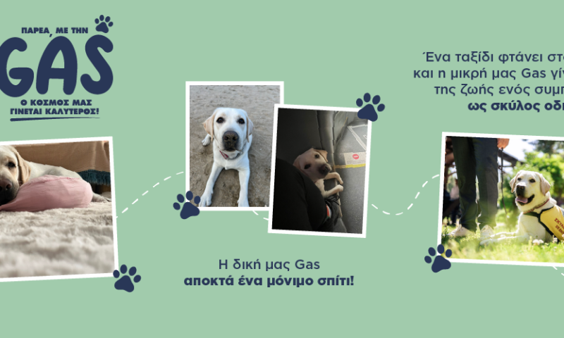 Coral Gas_Linkedin_October-11