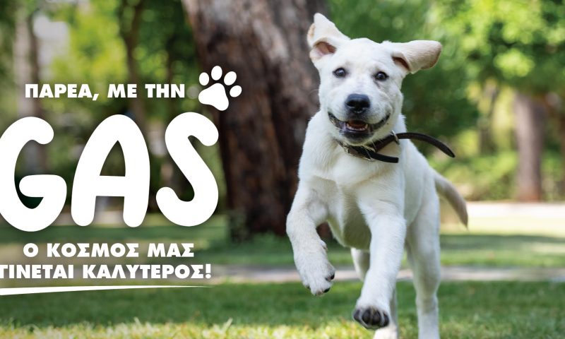 ψορνεςσ1